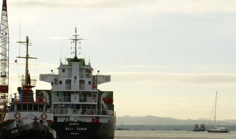 BALI SANUR General Cargo IMO 9465473 photo 5