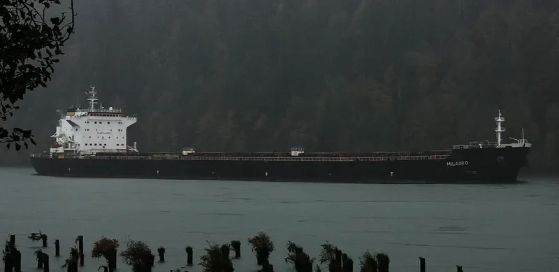 MILAGRO Bulk Carrier IMO 9465708