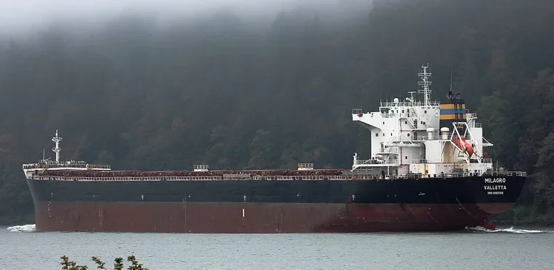 MILAGRO Bulk Carrier IMO 9465708 photo 2