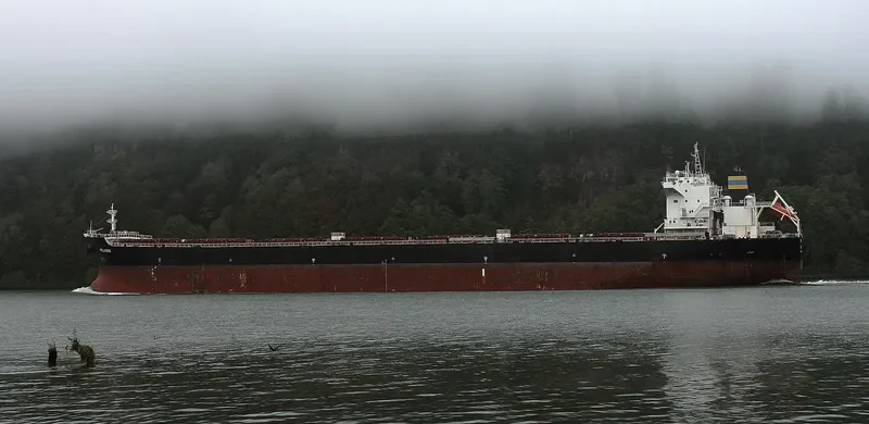 MILAGRO Bulk Carrier IMO 9465708 photo 3