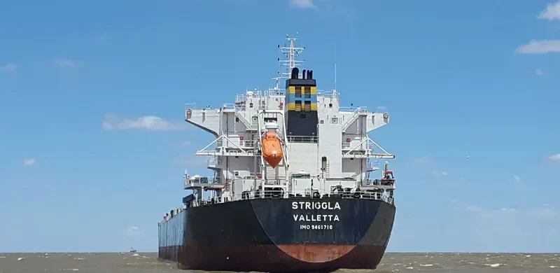 STRIGGLA Bulk Carrier IMO 9465710
