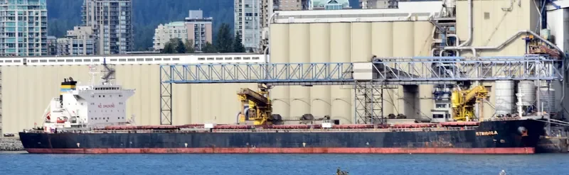 STRIGGLA Bulk Carrier IMO 9465710 photo 3