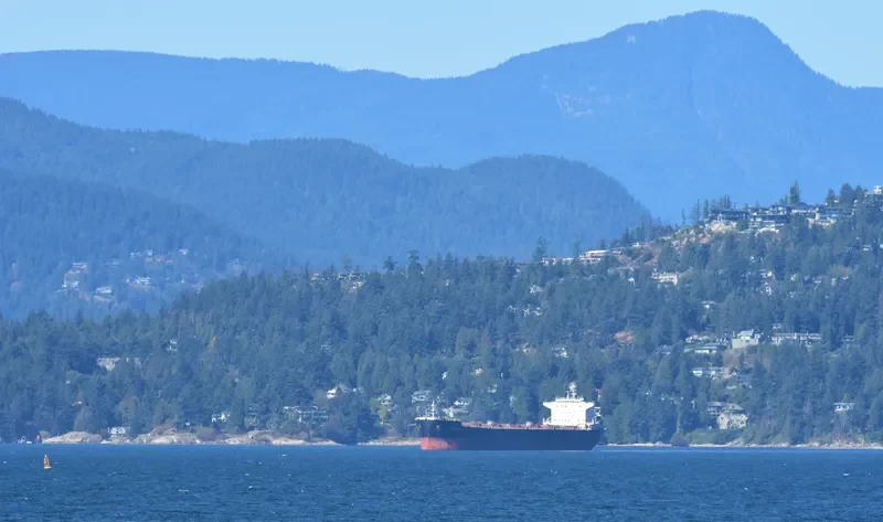 STRIGGLA Bulk Carrier IMO 9465710 photo 4