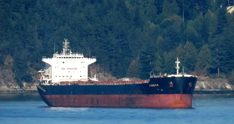 STRIGGLA Bulk Carrier IMO 9465710 photo 6