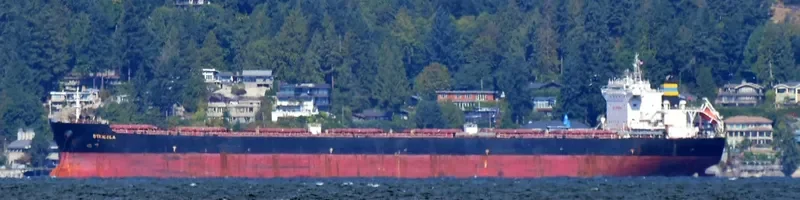 STRIGGLA Bulk Carrier IMO 9465710 photo 7