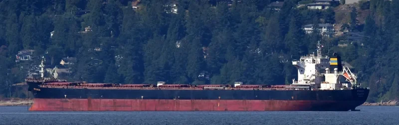 STRIGGLA Bulk Carrier IMO 9465710 photo 8
