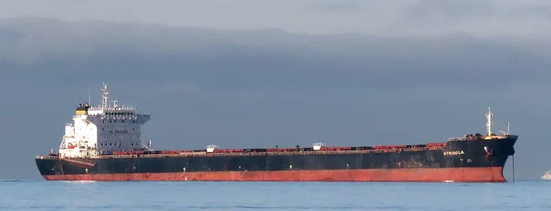 STRIGGLA Bulk Carrier IMO 9465710 photo 9