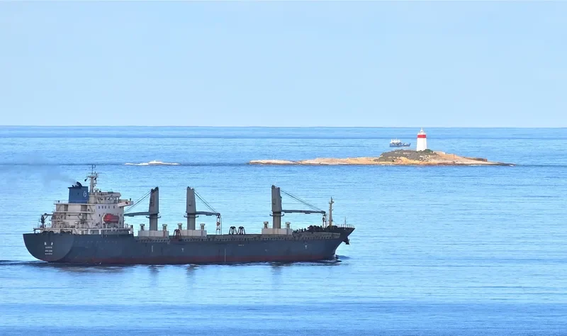 STEEL LADY Bulk Carrier IMO 9465722