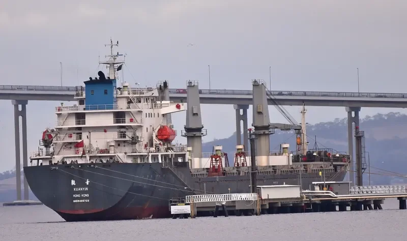 STEEL LADY Bulk Carrier IMO 9465722 photo 2