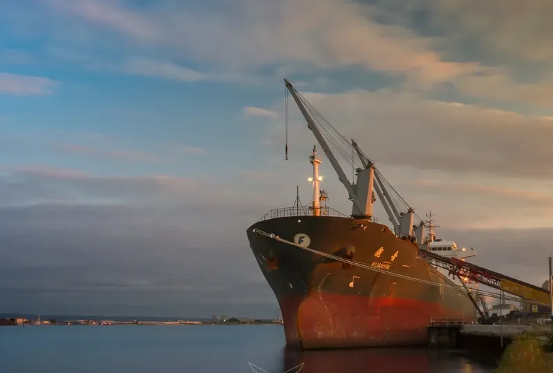 STEEL LADY Bulk Carrier IMO 9465722 photo 3
