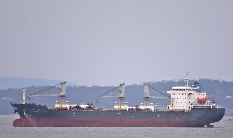 STEEL LADY Bulk Carrier IMO 9465722 photo 4