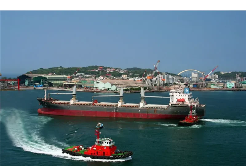 STEEL LADY Bulk Carrier IMO 9465722 photo 6