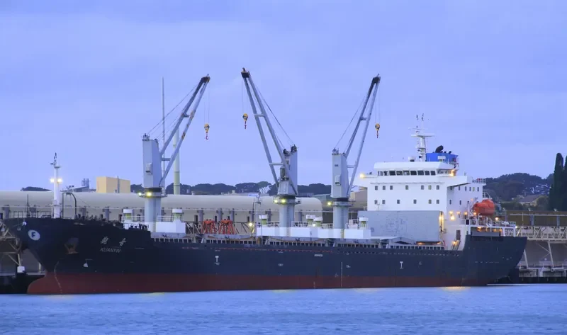 STEEL LADY Bulk Carrier IMO 9465722 photo 7