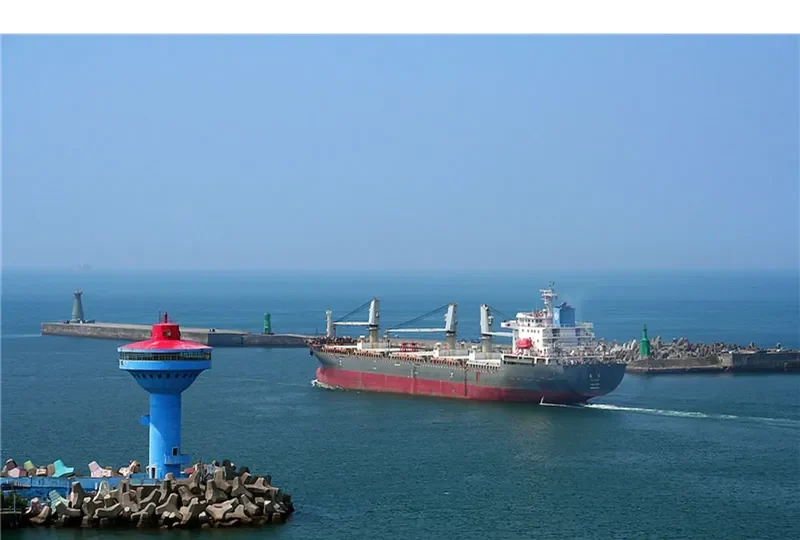 STEEL LADY Bulk Carrier IMO 9465722 photo 9