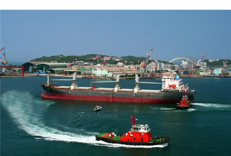 STEEL LADY Bulk Carrier IMO 9465722 photo 10