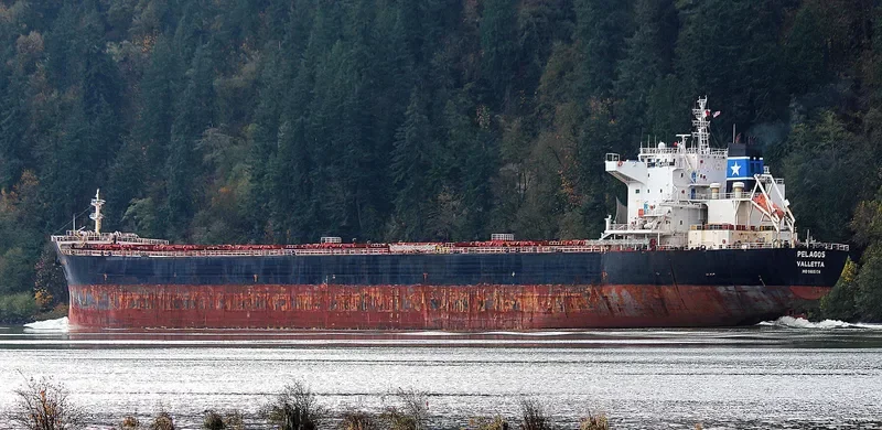 AP LIBERTAS Bulk Carrier IMO 9465734