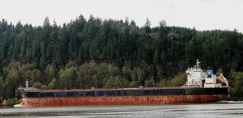 AP LIBERTAS Bulk Carrier IMO 9465734 photo 2