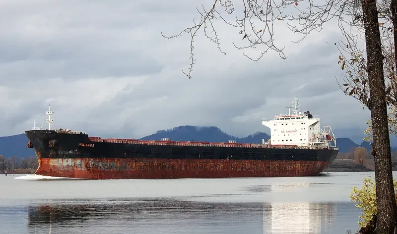 AP LIBERTAS Bulk Carrier IMO 9465734 photo 3