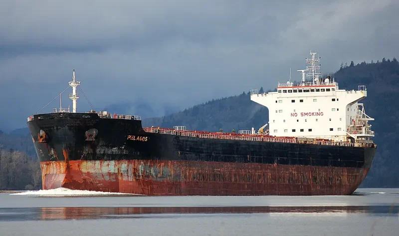 AP LIBERTAS Bulk Carrier IMO 9465734 photo 4