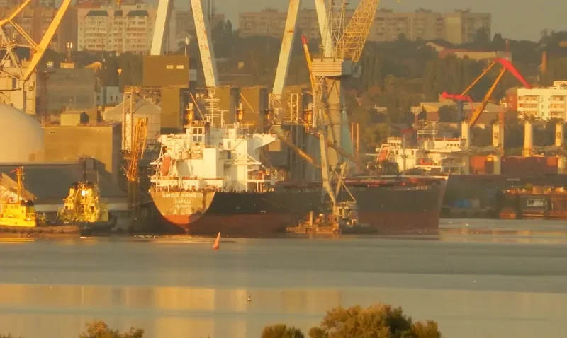 AP LIBERTAS Bulk Carrier IMO 9465734 photo 5