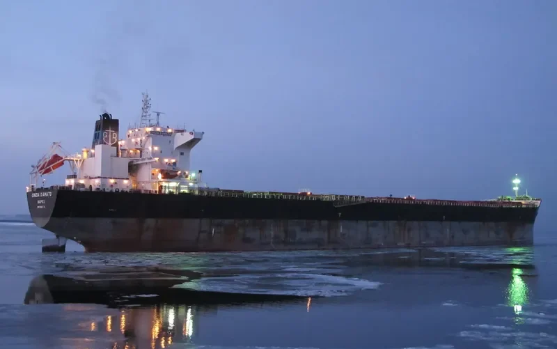 AP LIBERTAS Bulk Carrier IMO 9465734 photo 8