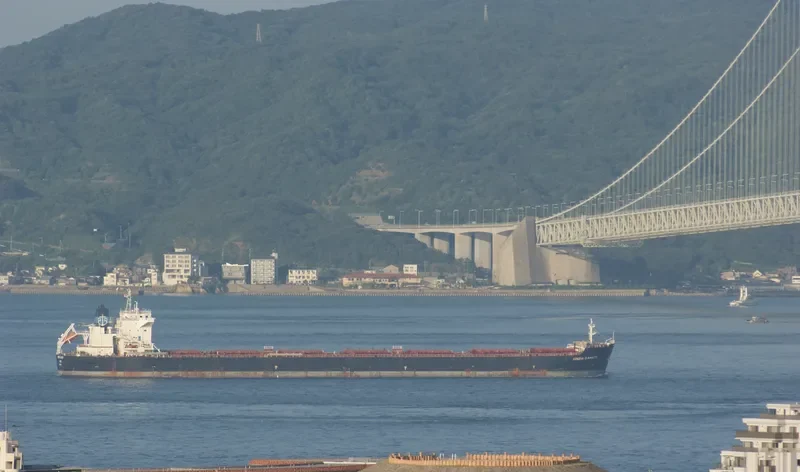 AP LIBERTAS Bulk Carrier IMO 9465734 photo 9