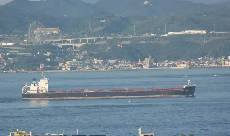 AP LIBERTAS Bulk Carrier IMO 9465734 photo 10