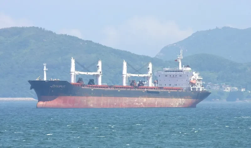 AVANG Bulk Carrier IMO 9465746