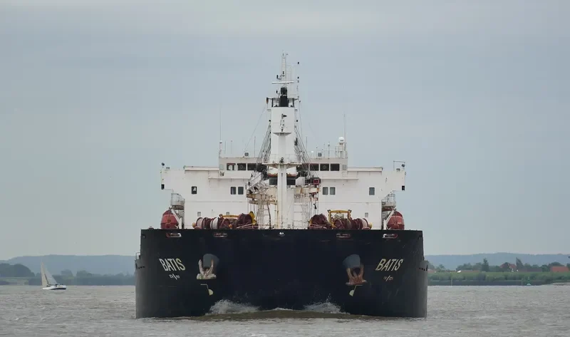 BATIS Bulk Carrier IMO 9465760