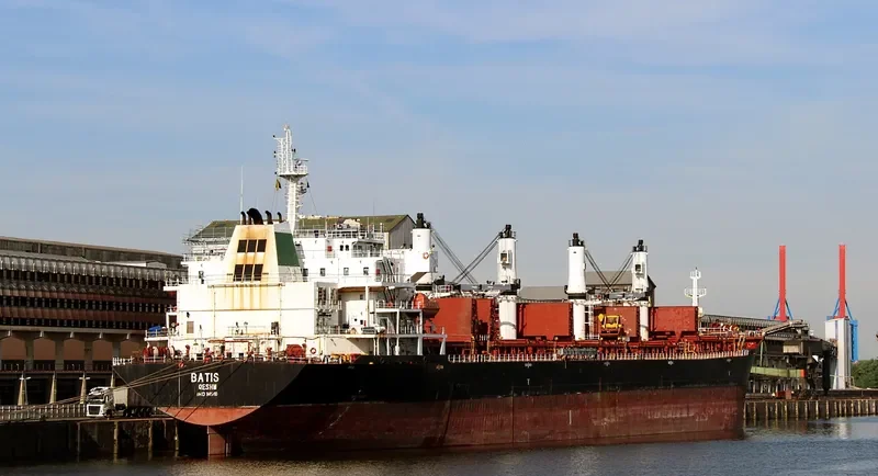 BATIS Bulk Carrier IMO 9465760 photo 5