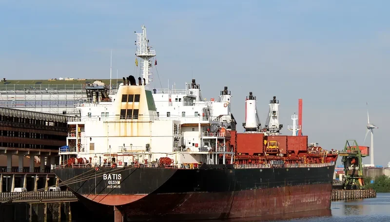 BATIS Bulk Carrier IMO 9465760 photo 6