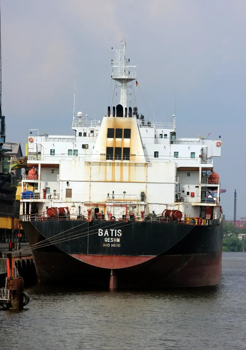BATIS Bulk Carrier IMO 9465760 photo 7