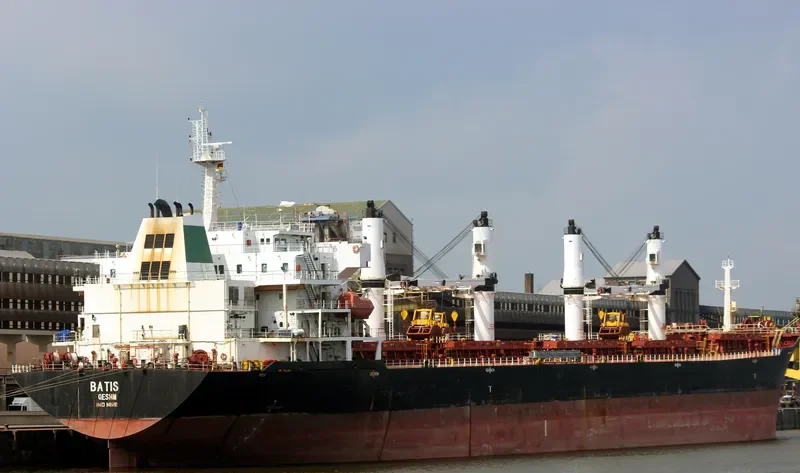 BATIS Bulk Carrier IMO 9465760 photo 8