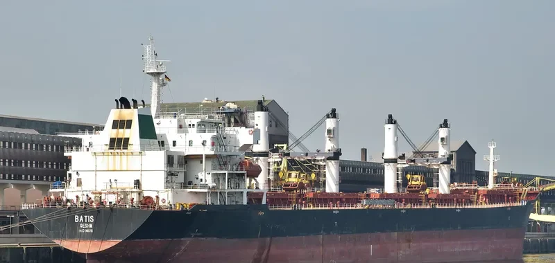 BATIS Bulk Carrier IMO 9465760 photo 9