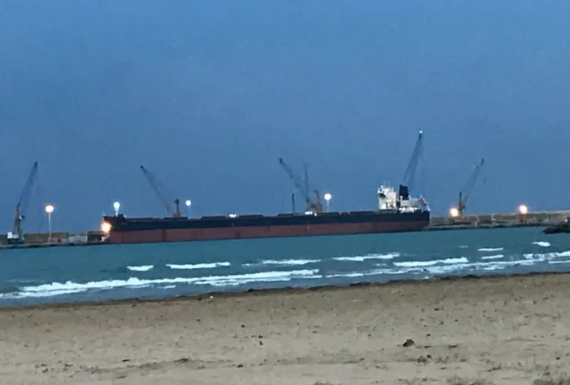 TINA IV Bulk Carrier IMO 9465772