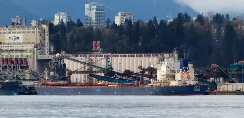NAVIOS CAMELIA Bulk Carrier IMO 9465784 photo 5