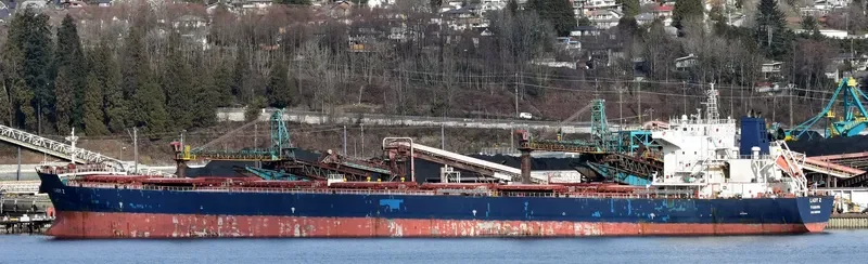 NAVIOS CAMELIA Bulk Carrier IMO 9465784 photo 7