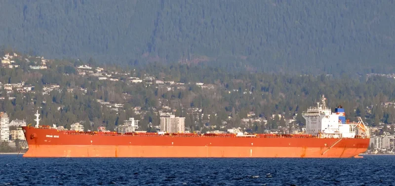 JIA XI Bulk Carrier IMO 9465796 photo 3