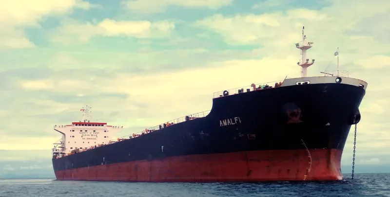 AMALFI Bulk Carrier IMO 9465801 photo 4