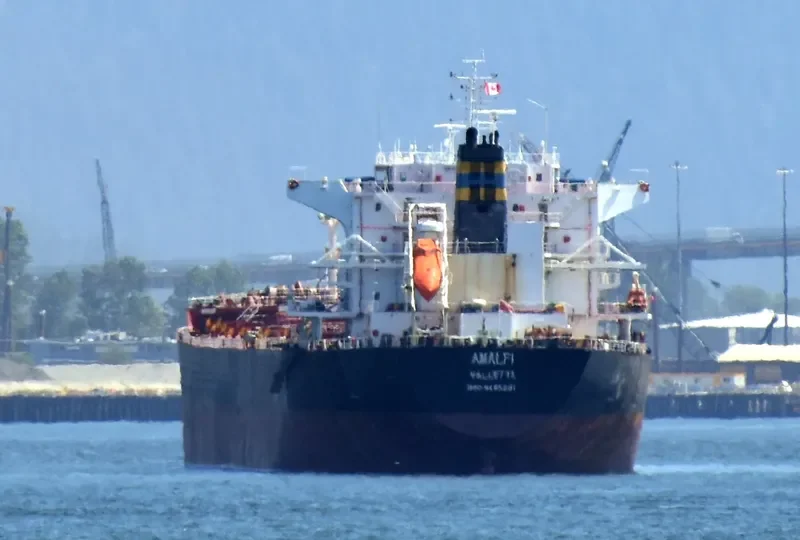 AMALFI Bulk Carrier IMO 9465801 photo 5