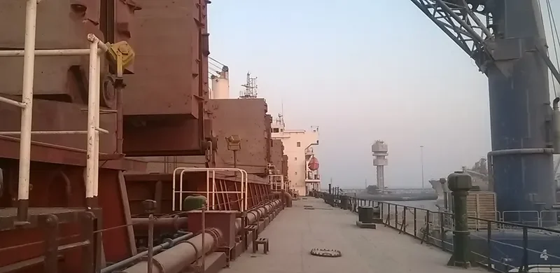 WARTA Bulk Carrier IMO 9465849