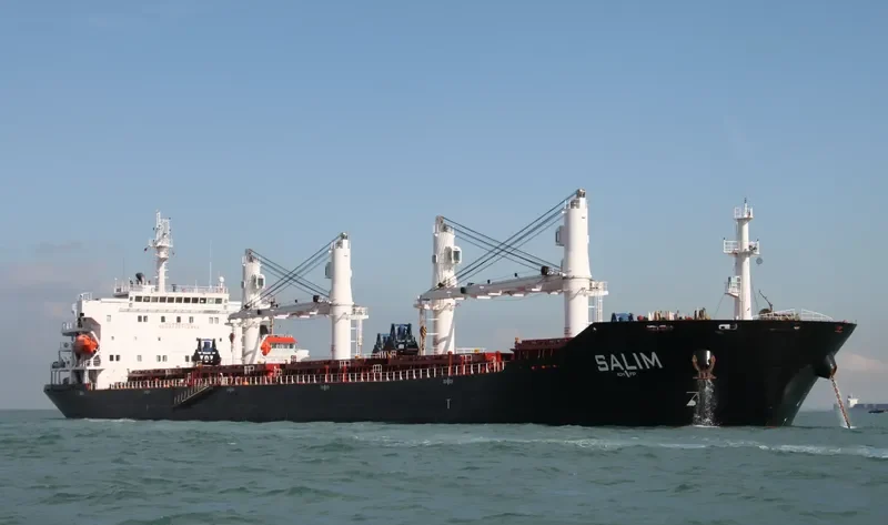 PARISAN Bulk Carrier IMO 9465851