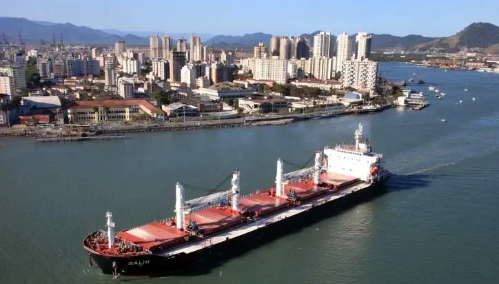 PARISAN Bulk Carrier IMO 9465851 photo 2
