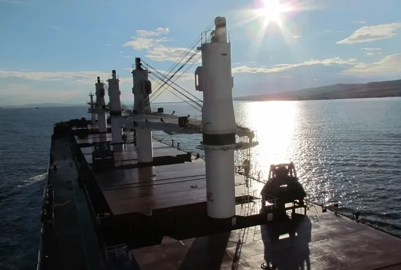 ARDAVAN Bulk Carrier IMO 9465863 photo 3