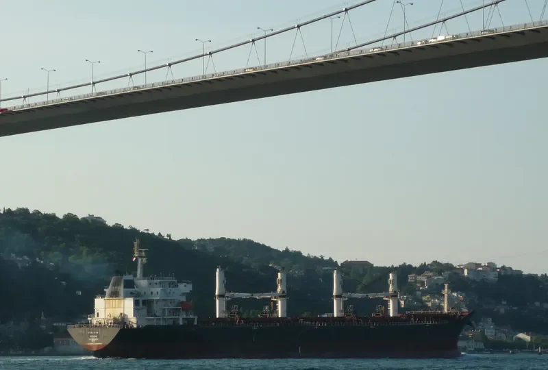 ARDAVAN Bulk Carrier IMO 9465863 photo 4