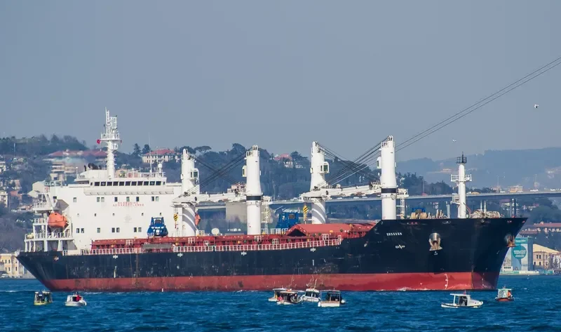 ARDAVAN Bulk Carrier IMO 9465863 photo 5