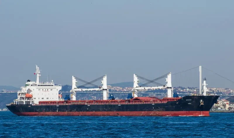ARDAVAN Bulk Carrier IMO 9465863 photo 6