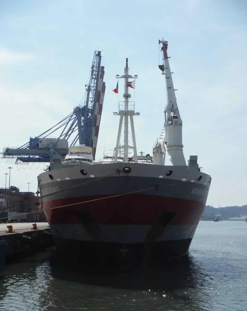 ARUBABORG General Cargo IMO 9466295 photo 4