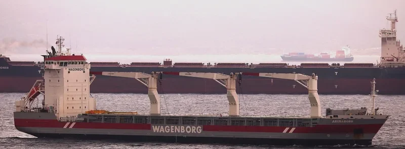ARUBABORG General Cargo IMO 9466295 photo 9