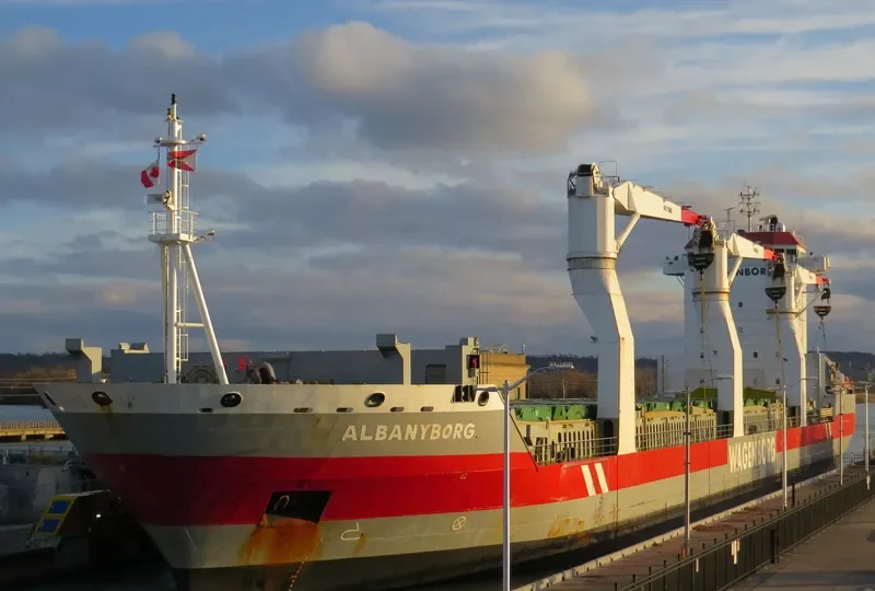 ALBANYBORG General Cargo IMO 9466300 photo 2